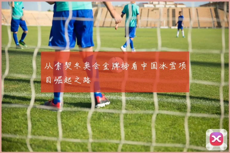 从索契冬奥会金牌榜看中国冰雪项目崛起之路