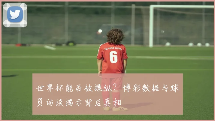 世界杯能否被操纵？博彩数据与球员访谈揭示背后真相