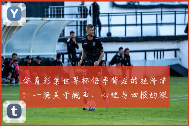 体育彩票世界杯倍率背后的经济学：一场关于概率、心理与回报的深度分析