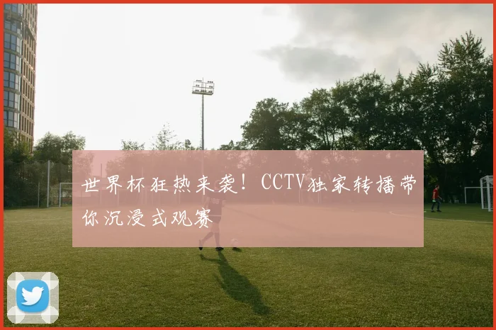 世界杯狂热来袭！CCTV独家转播带你沉浸式观赛